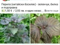 🪻🪴🪷🎁3 вида градински цветя❄️☃️ -, снимка 3