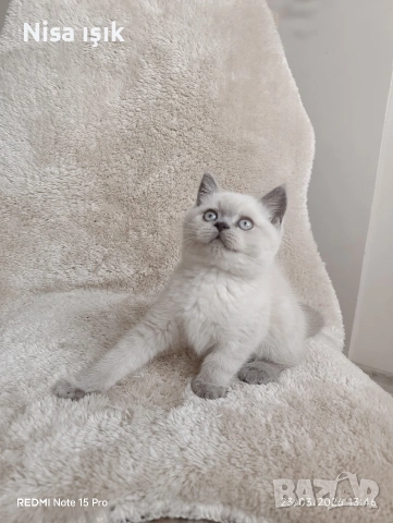 не е красив ъо е уникален свикнало с малко детенце. в Хасково