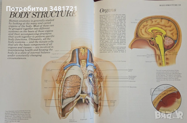 Атлас по анатомия / Atlas of Anatomy, снимка 3 - Специализирана литература - 55064882