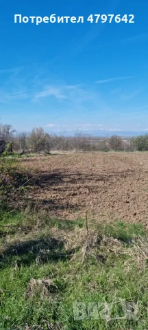 Парцел в Чешнегирово