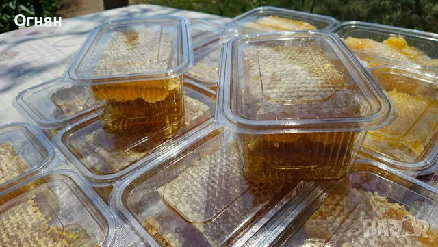 Мед в пчелна пита, снимка 2 - Пчелни продукти - 51718982