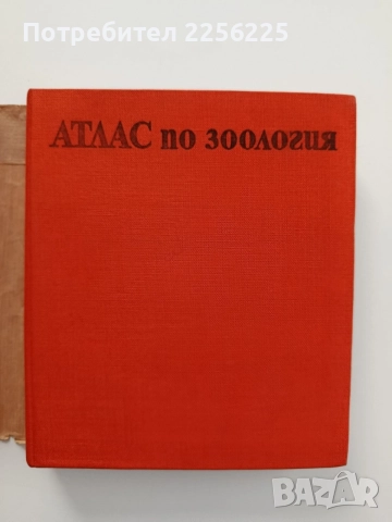 Атлас по зоология, снимка 7 - Специализирана литература - 55247043