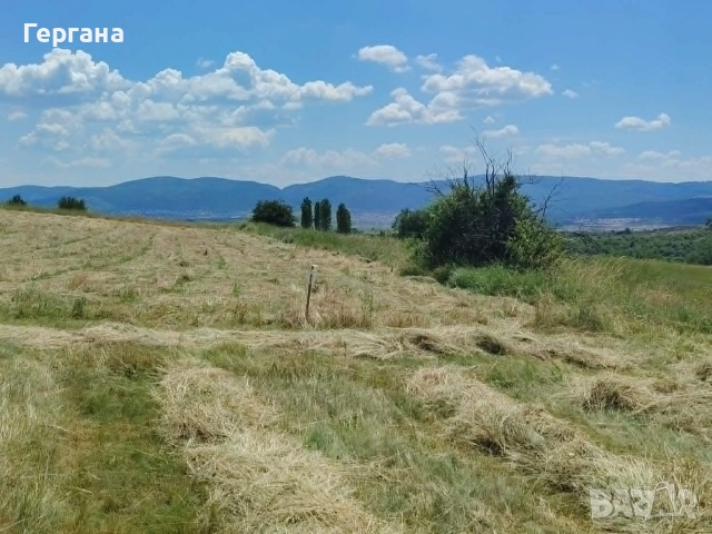 Невероятно красив парцел до регулация в село Дивотино, снимка 6 - Парцели - 54999177