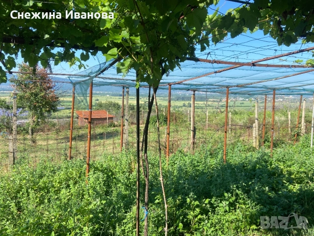 Вила с дворно място, снимка 2 - Къщи - 54890385