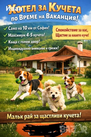 Гледане на кучета, хотел за кучета, нощувки и да други домашни любимци