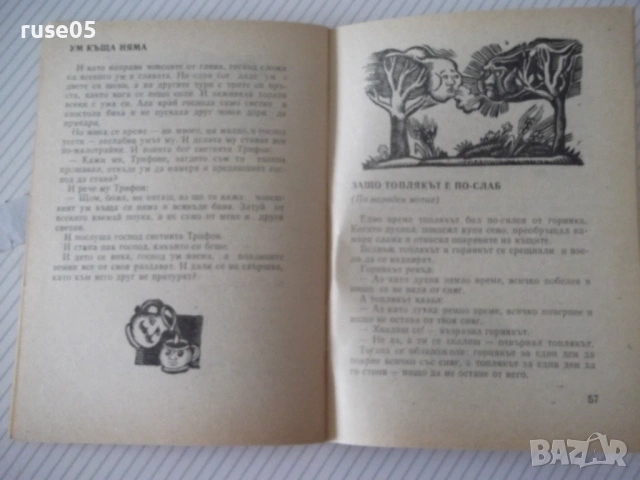 Книга "Момино лозе - Христо Пелитев" - 64 стр., снимка 5 - Художествена литература - 54794728