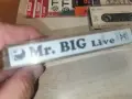 MR.BIG UNISON RECORDS 1992 1008261430H2E7R, снимка 5