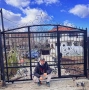 ковано желязо: врати, огради, парапети , снимка 6