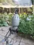 Стара техника .. приложение фотография !, снимка 2