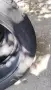 Все сезонни гуми за джип Nikian Tyres, снимка 8