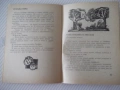 Книга "Момино лозе - Христо Пелитев" - 64 стр., снимка 5