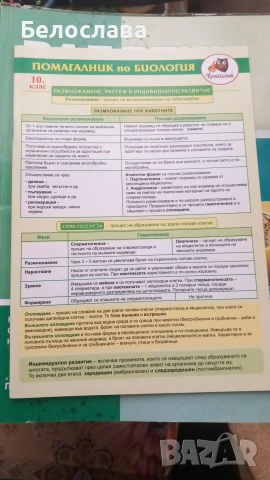 Учебници за 10ти клас, снимка 2 - Учебници, учебни тетрадки - 54983184