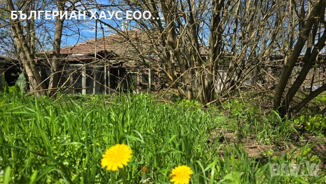Селска къща с двор 2400кв.м, кладенец и 4 спални в с. Стежерово 20км от р. Дунав, снимка 2 - Къщи - 55072712