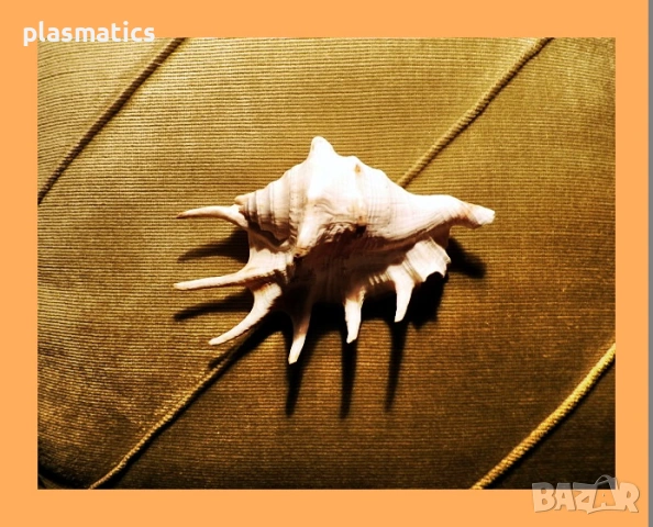 ключодържател кукличка / морска раковина, снимка 9 - Кукли - 46914612