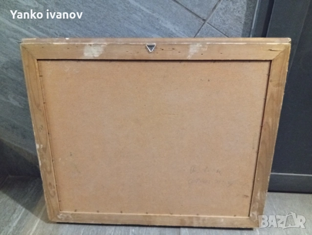Картина горски пеизаж, снимка 4 - Картини - 54607666