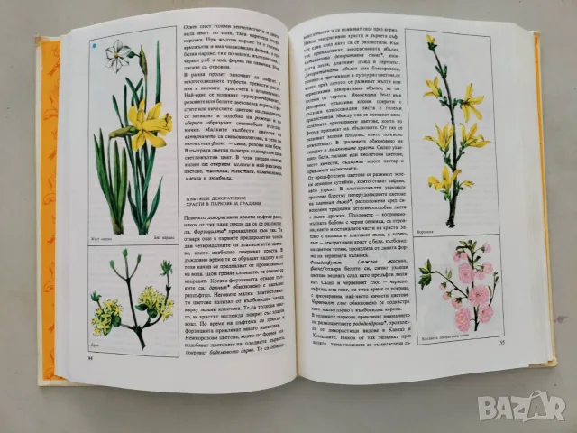 Запознаване с природата, снимка 4 - Енциклопедии, справочници - 55583844
