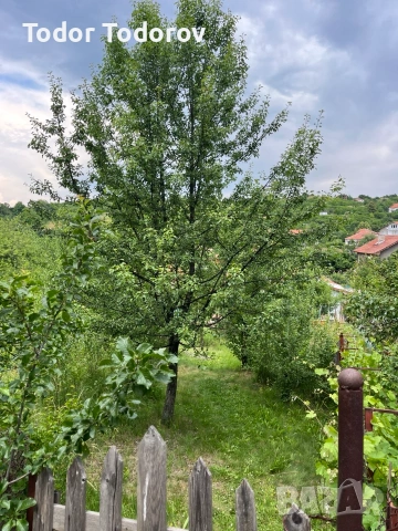 Продава Парцел, с.Дивотино, област Перник