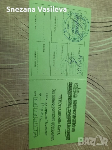 Краставици сорт Гергана , снимка 3 - Домашни продукти - 55086114