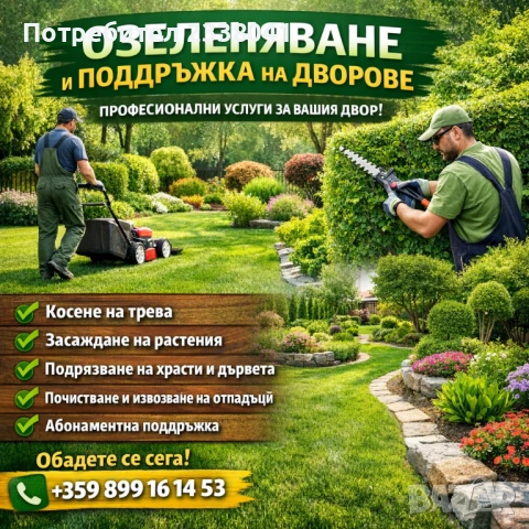 Озеленяване и поддръжка на дворни пространства 