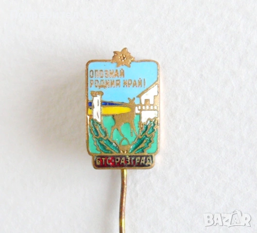 Стари значки, снимка 13 - Колекции - 54810024