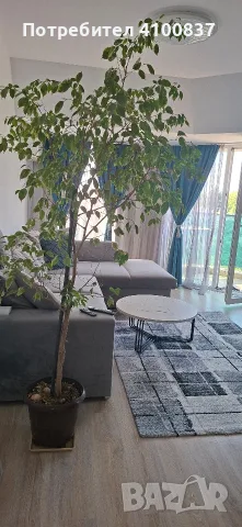 Продава апартамент , снимка 3 - Апартаменти - 55594933