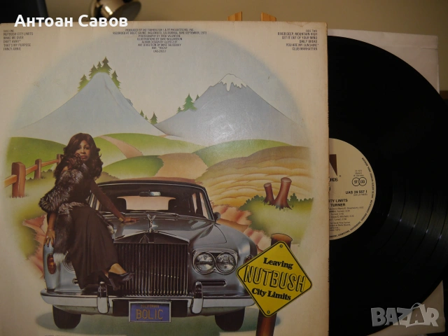 Tina Turner, снимка 2 - Грамофонни плочи - 54329548