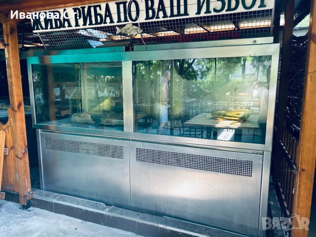 Професионален аквариум, снимка 2 - Аквариуми - 54911882