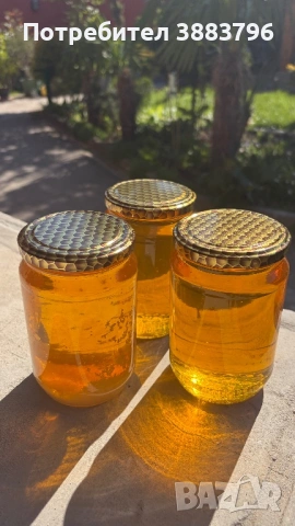 Билков мед , снимка 2 - Пчелни продукти - 54819330