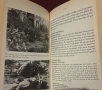Forgotten Voices of The Great War. A New History of WW1 in the Words of the Men and Women Who Were T, снимка 5