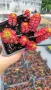 Червен седум Пурпурна Зима, Sedum spirium " Purpur Winter ", снимка 5