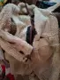 Кукерски костюми,маски,колани,хлопки, снимка 11