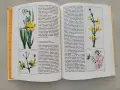 Запознаване с природата, снимка 4