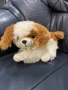 Плюшени играчки, снимка 5