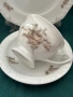 Rosenthal Maria - 6 броя троен сет с декор  „Sepia rose”, снимка 4