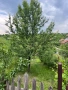 Продава Парцел, с.Дивотино, област Перник, снимка 1