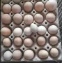 Продавам Яйца от Фазани, снимка 1