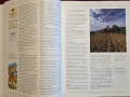 Голяма енциклопедия на виното, бирата и алкохолните напитки / The Ultimate Encyclopedia of Wine, Bee, снимка 7