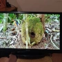32" телевизор Sang, снимка 5