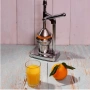 Цитрус преса – ръчна, снимка 1
