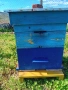 пчелни кошери., снимка 2