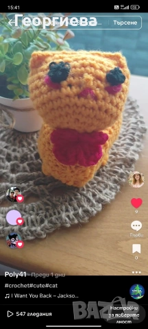 Плетени котенца и капибара 