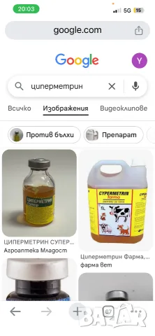 Regent 800 Регент