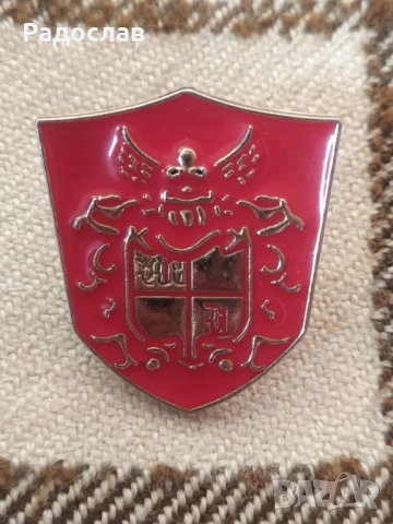 стара брошка / значка Герб, снимка 3 - Други - 54100515