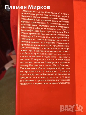 Роман "Парижката Света Богородица" , снимка 5 - Художествена литература - 55080105