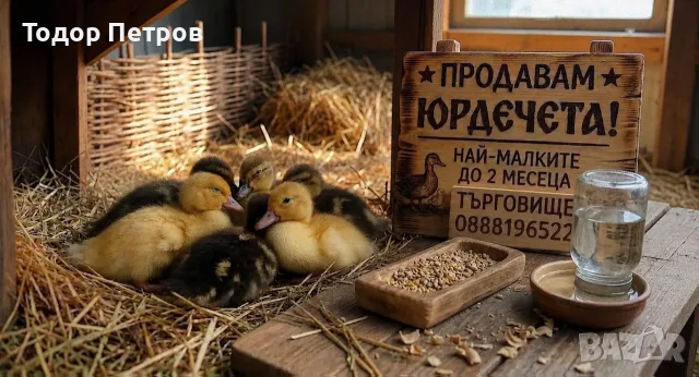 Продавам юрдечета