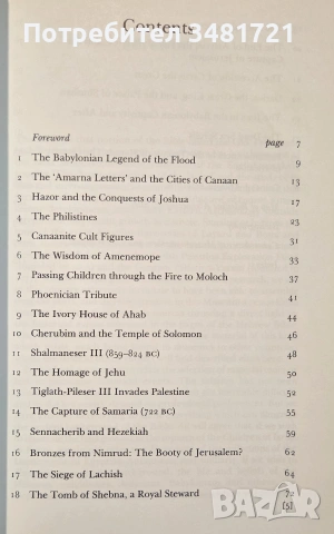 Illustrations of Old Testament History, снимка 3 - История, политика и общество - 55065683