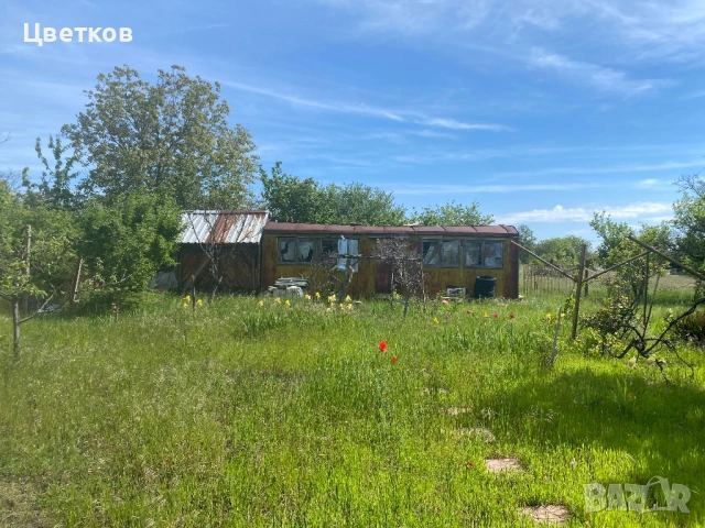 Продавам лозе