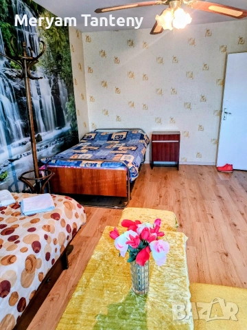 Стая под наем в Димитровград , снимка 18 - Стаи под наем - 55217502