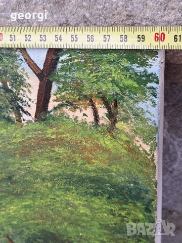 Авторска картина маслени бои върху платно селски пейзаж, снимка 10 - Картини - 54017474