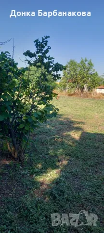 Продавам къща в село Зетьово , снимка 8 - Къщи - 55339355